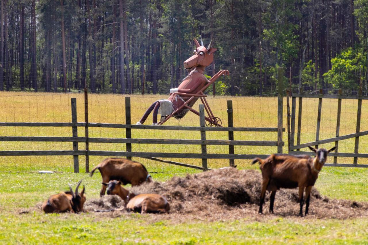 Penzion Kozí farma Nový Dvůr Česká Lípa Esterno foto